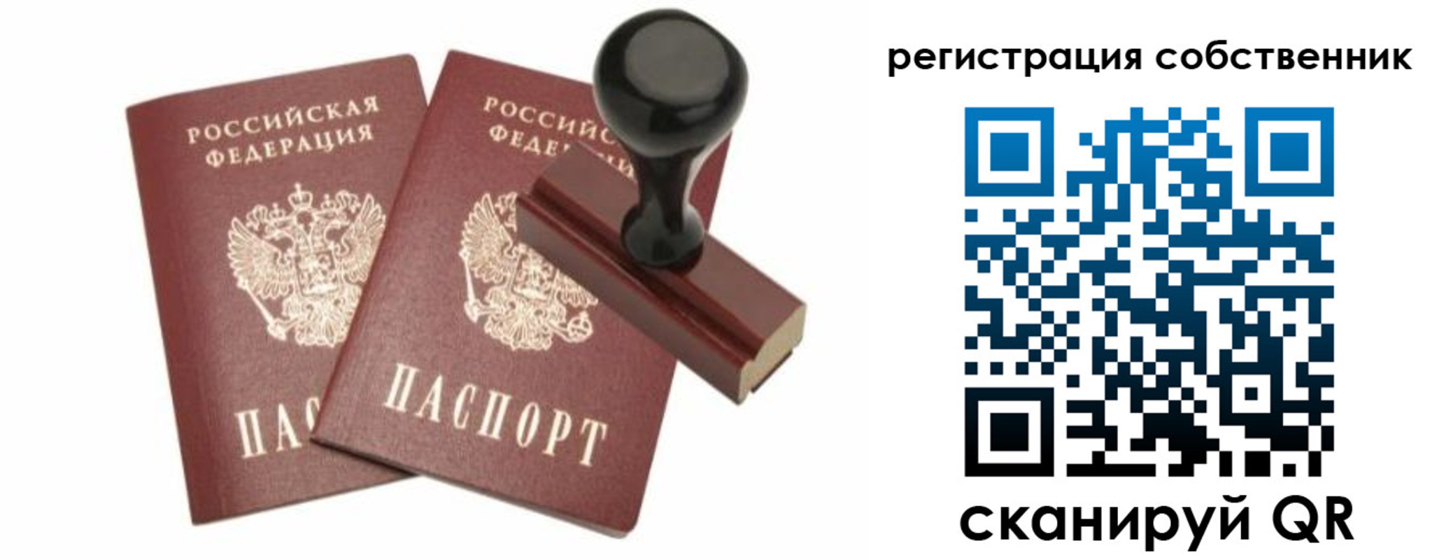 прописка паспорт в Светлогорске